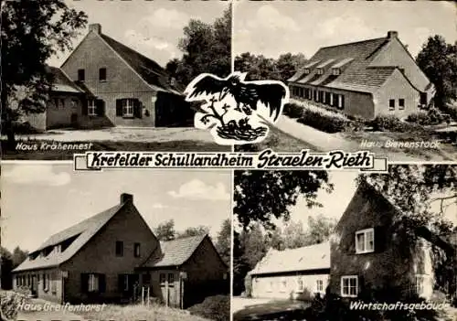 Ak Straelen Rieth, Krefelder Schullandheim, Haus Krähennest, Bienenstock, Greifenhorst