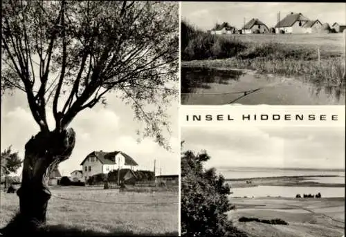 Ak Insel Hiddensee in der Ostsee, Teilansichten