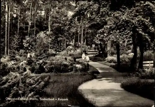 Ak Ostseebad Graal Müritz, Kurpark