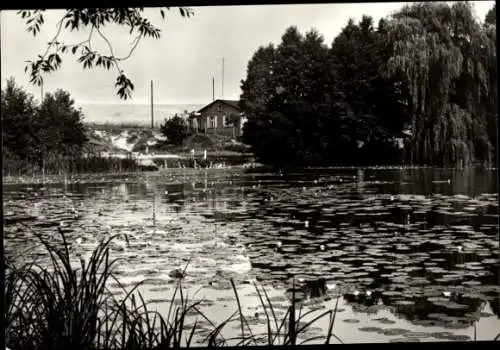 Ak Glienicke Rietz Neuendorf Brandenburg, BEWAG-Ferienheim, Herzberger See