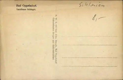 Ak Opolno Zdrój Bad Oppelsdorf Bogatynia Reichenau Schlesien, Landhaus Schlegel