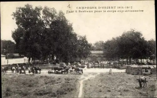 Ak Saloniki Thessaloniki Griechenland, Expeditionstruppe im Park, Krieg 1914 bis 1917