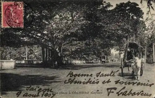 Ak Colombo Ceylon Sri Lanka, Platz, Rinderkarren