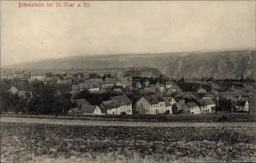 Ak Biebernheim St. Goar am Rhein, Gesamtansicht