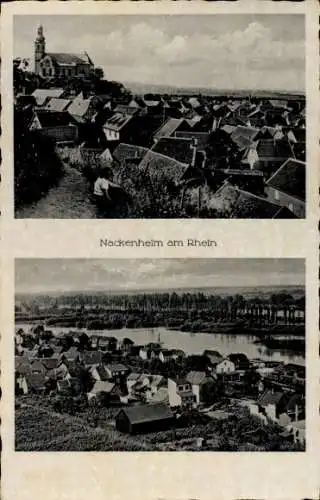 Ak Nackenheim am Rhein, Gesamtansicht