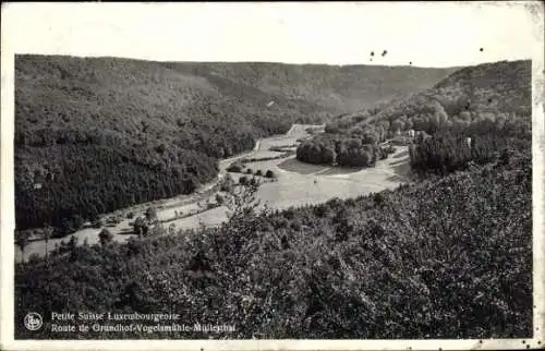 Ak Müllerthal Waldbillig Luxemburg, Route de Grundhof-Vogelsmühle-Müllerthal