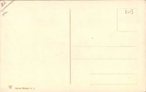 Ak Reife Pflaumen am Ast, Zwetschgen, Grüne Blätter, Obst