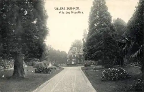 Ak Villers sur Mer Calvados, Villa des Mouettes