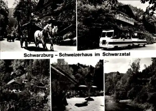 Ak Schwarzburg in Thüringen, Schweizerhaus im Schwarzatal, Postkutsche, Teilansichten