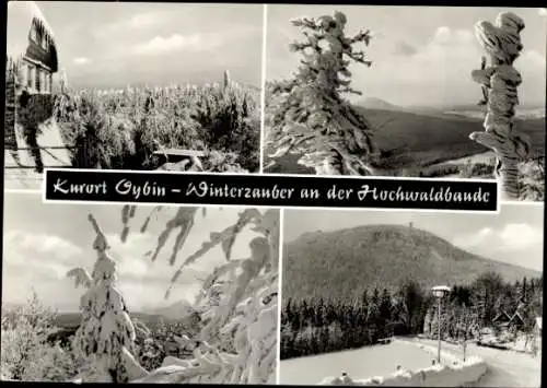 Ak Oybin in der Oberlausitz, Hochwaldbaude, Winteransicht