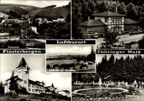 Ak Finsterbergen Friedrichroda im Thüringer Wald, Kuhherde, Rennsteig, Steigermühle, Kurhaus