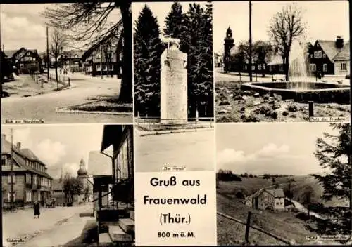 Ak Frauenwald Ilmenau in Thüringen, Blick zur Nordstraße, Der Hirsch, Platz des Friedens