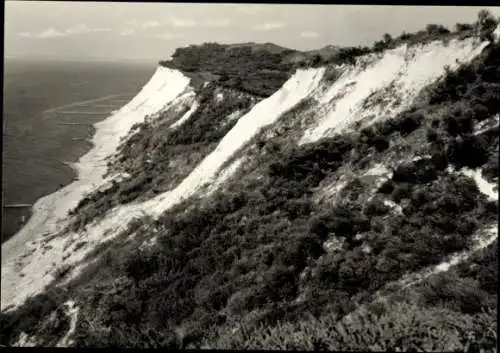 Ak Insel Hiddensee in der Ostsee, Steilküste, Swanti, Dornbusch