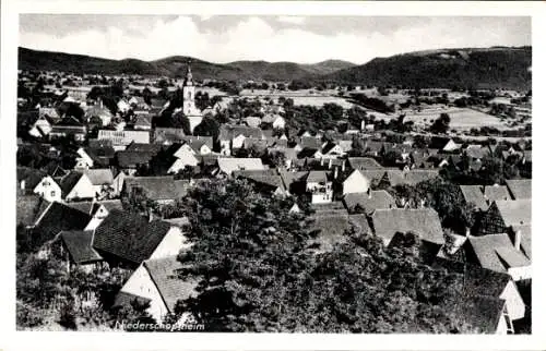 Ak Niederschopfheim Hohberg in Baden Württemberg, Panorama