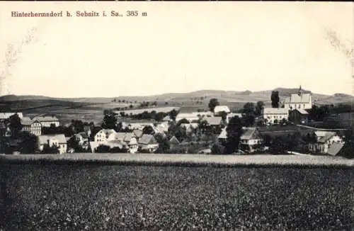 Ak Hinterhermsdorf Sebnitz, Totalansicht des Ortes, Felder, Kirche