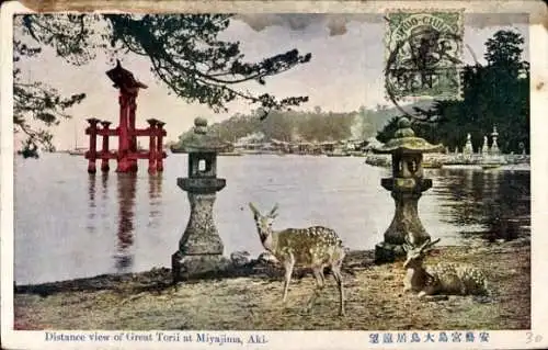 Ak Japan, Fernansicht des Großen Torii in Miyajima, Reh