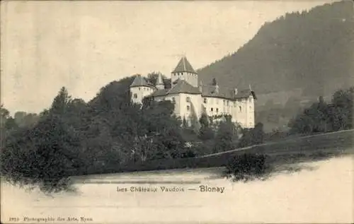 Ak Blonay Kanton Waadt, Schloss