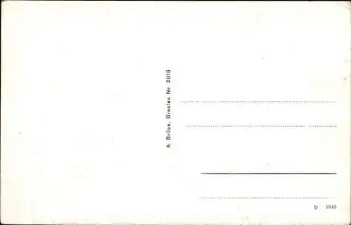 Ak Żagań Sagan Schlesien, Ring