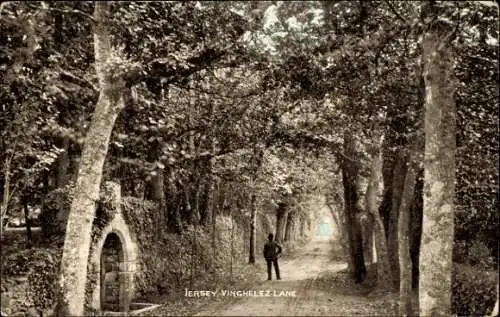 Ak Kanalinsel Jersey, Vinchelez-Lane