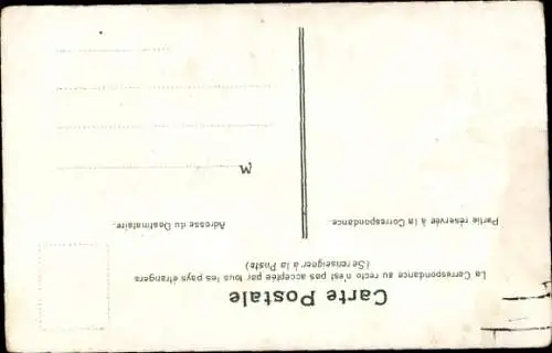 Ak Kleine Hauskatze vor einer Mauer, Hunde