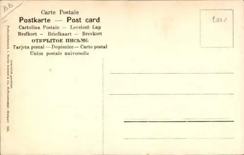 Ak Früchte, Johannisbeeren, Blätter