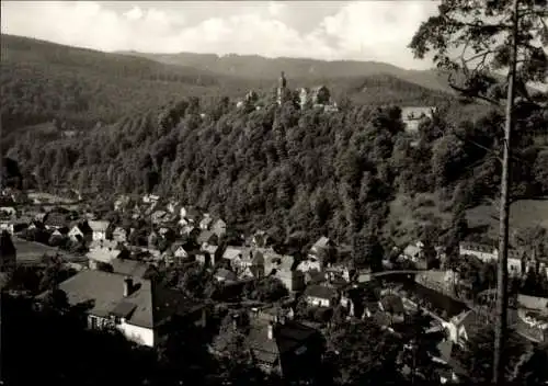 Ak Schwarzburg in Thüringen, Totalansicht