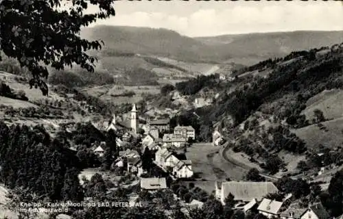 Ak Bad Peterstal Griesbach im Schwarzwald Baden, Totalansicht