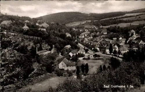 Ak Bad Gottleuba in Sachsen, Panorama