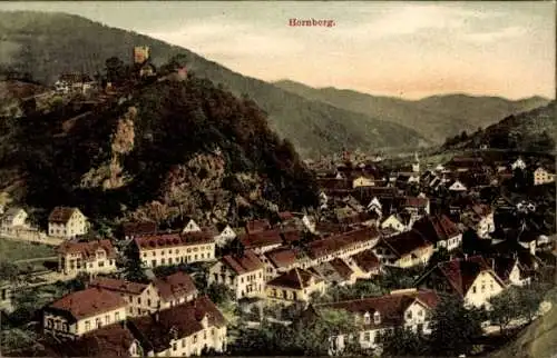 Ak Hornberg im Schwarzwald, Panorama