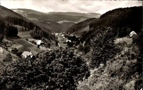 Ak Triberg im Schwarzwald, Nussbachtal