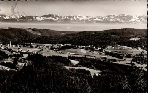 Ak Häusern im Schwarzwald, Panorama, Gasthaus und Pension Schwalbennest