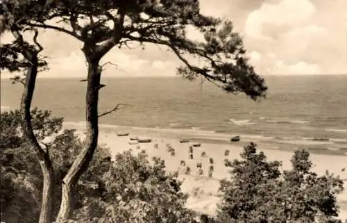 Ak Ostseebad Heringsdorf auf Usedom, Strand