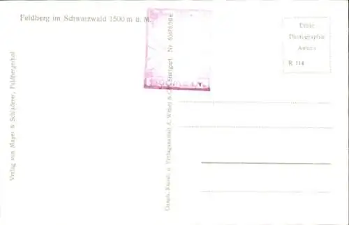 Ak Feldberg im Schwarzwald, Kühe