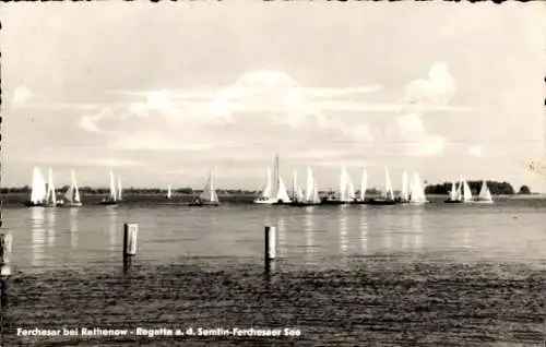 Ak Ferchesar im Havelland, Regatta auf dem Semlin-Ferchesarer See