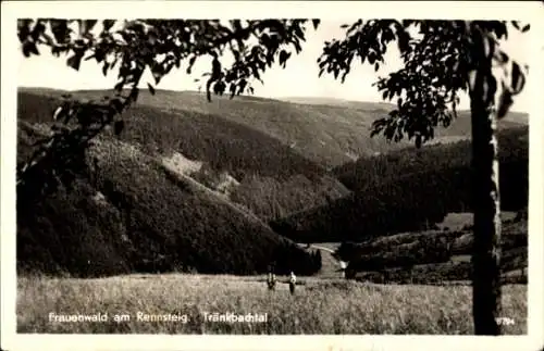 Ak Frauenwald am Rennsteig Ilmenau in Thüringen, Tränkbachtal