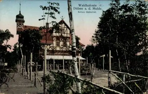 Ak Bad Düben an der Mulde Sachsen, Waldkolonie, Kurhaus Waldschloss