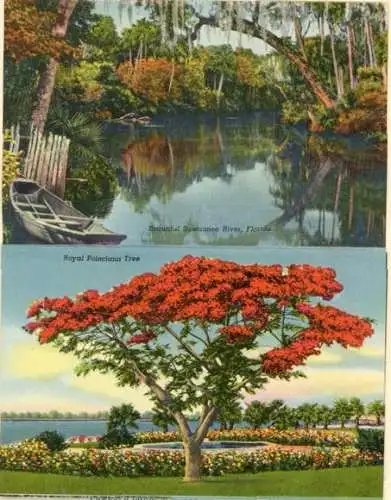 Set von 8 Ak im Umschlag Florida USA