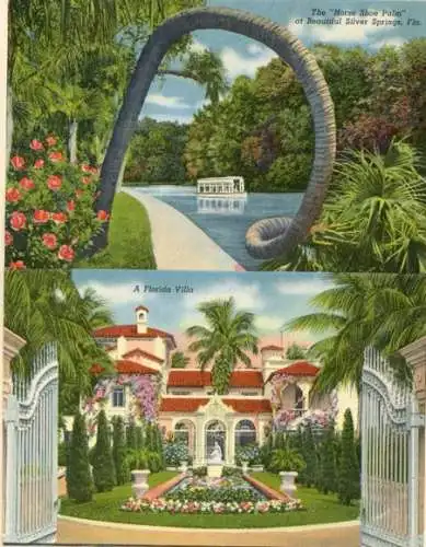 Set von 8 Ak im Umschlag Florida USA