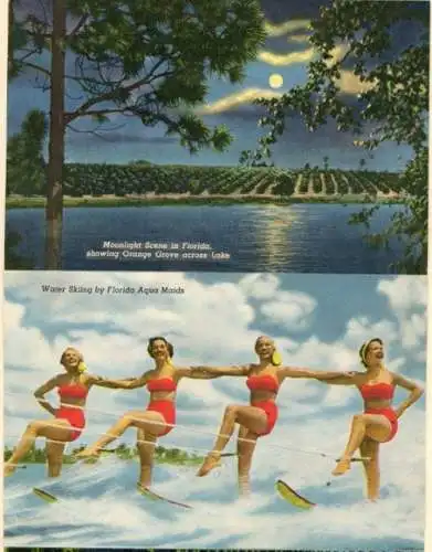 Set von 8 Ak im Umschlag Florida USA