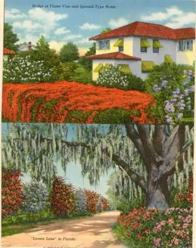 Set von 8 Ak im Umschlag Florida USA
