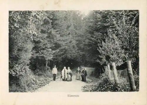 Album mit 20  Lichtdrucke " Naturschönheiten aus dem Luftkurort Rengsdorf"