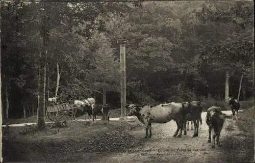 Set von 89 Ak von Finistère, diverse Orte 