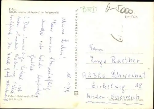 Ak Erfurt in Thüringen, HO Gaststätte Hubertus im Steigerwald