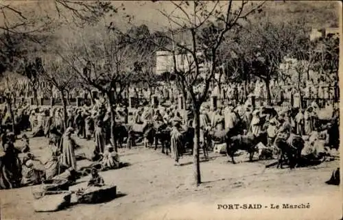 Ak Port Said Algerien, Marktplatz