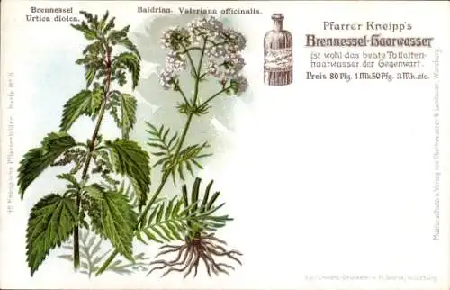 Litho Reklame, Pfarrer Kneipp's Brennessel-Haarwasser, Brennessel, Baldrian