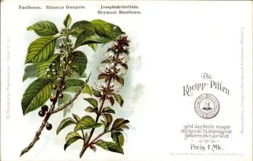 Litho Reklame, Kneipp Pillen, Faulbaum, Josephskräutlein