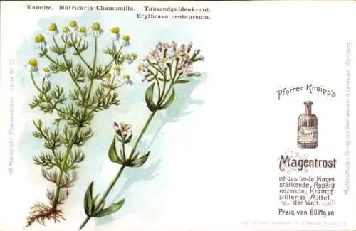 Litho Reklame, Pfarrer Kneipp Magentrost, Kamille, Tausendguldenkraut