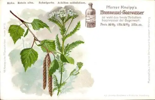 Litho Reklame, Pfarrer Kneipp Brennessel-Haarwasser, Birke, Schafgarbe