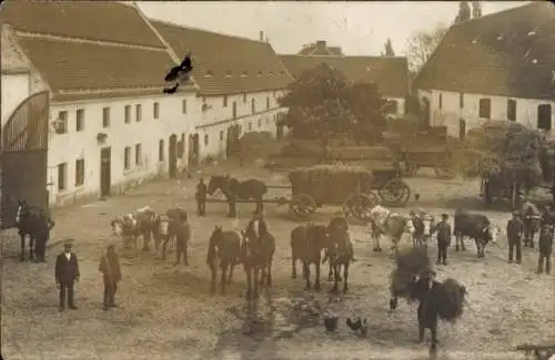 Foto Ak Halle an der Saale? Gehöft, Pferde, Reiter, Fuhrwerke, Rinder