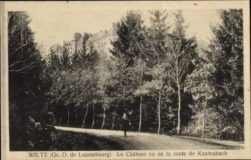 Ak Wiltz Luxemburg, Teilansicht vom Schloss